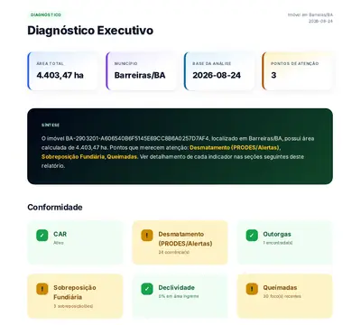 Página de diagnóstico executivo do relatório
